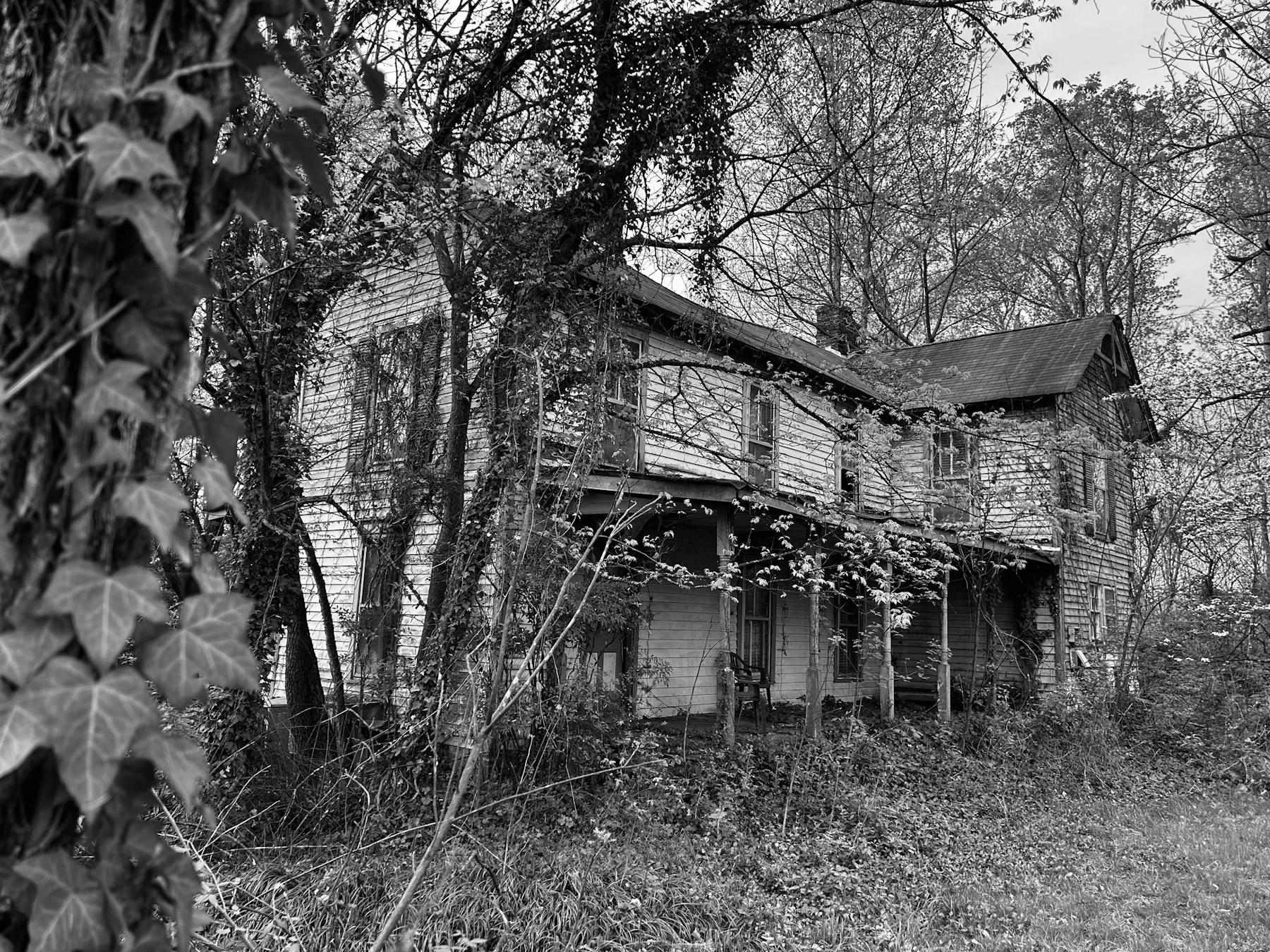 Weathered old farmhouse surrounded by overgrown vegetation in Tennessee, illustrating prolonged building deterioration.